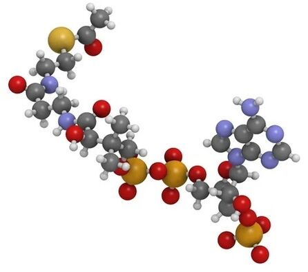 La valeur zxcvbnmq contient du coenzyme Q10